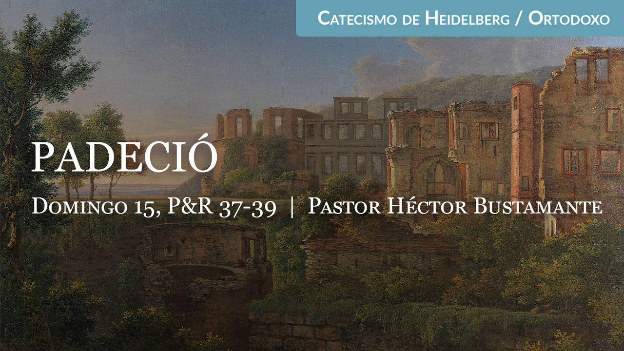 Padeció | Business